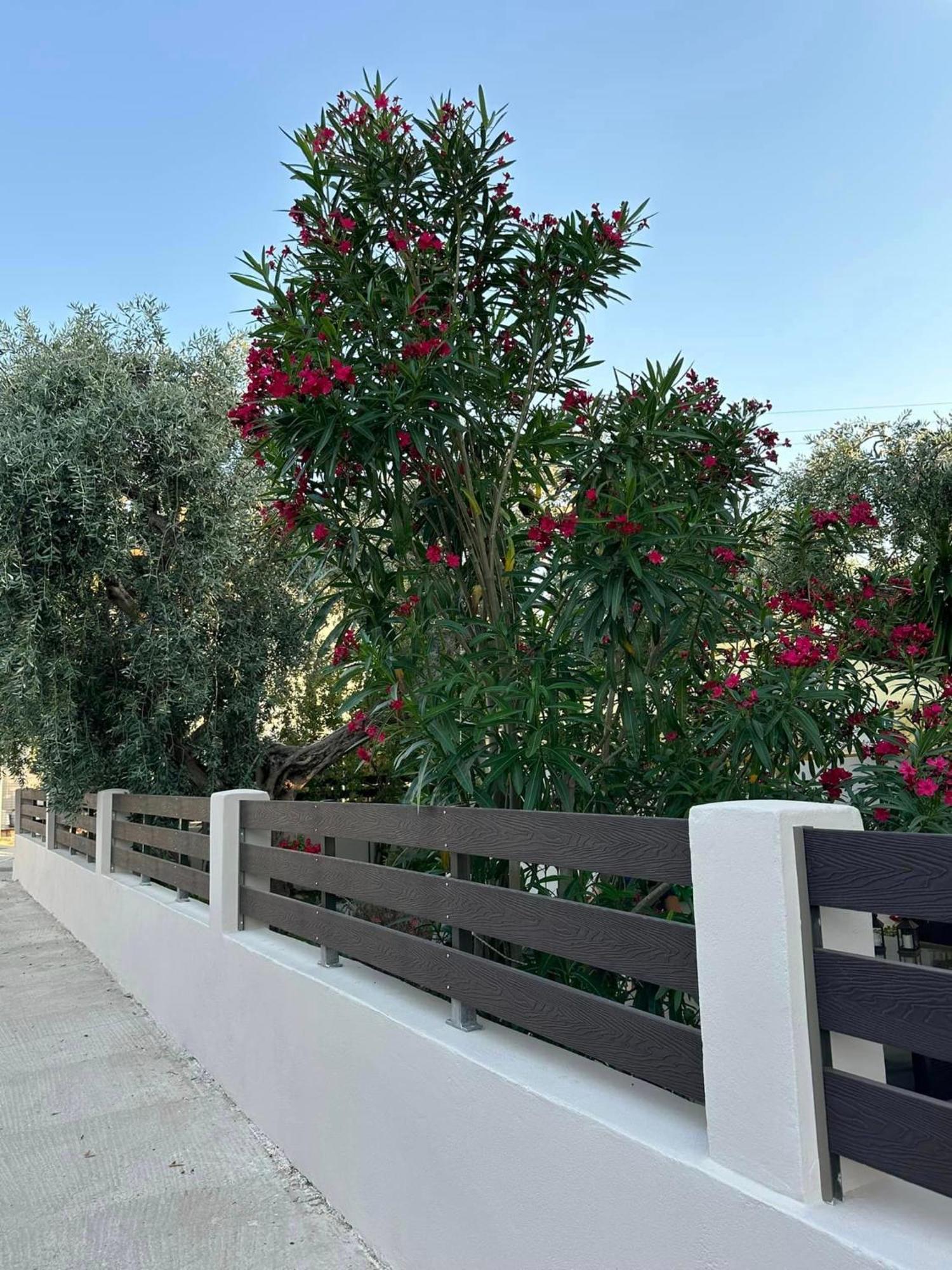 Valia House Thassos Lägenhet Skála Kallirákhis Exteriör bild