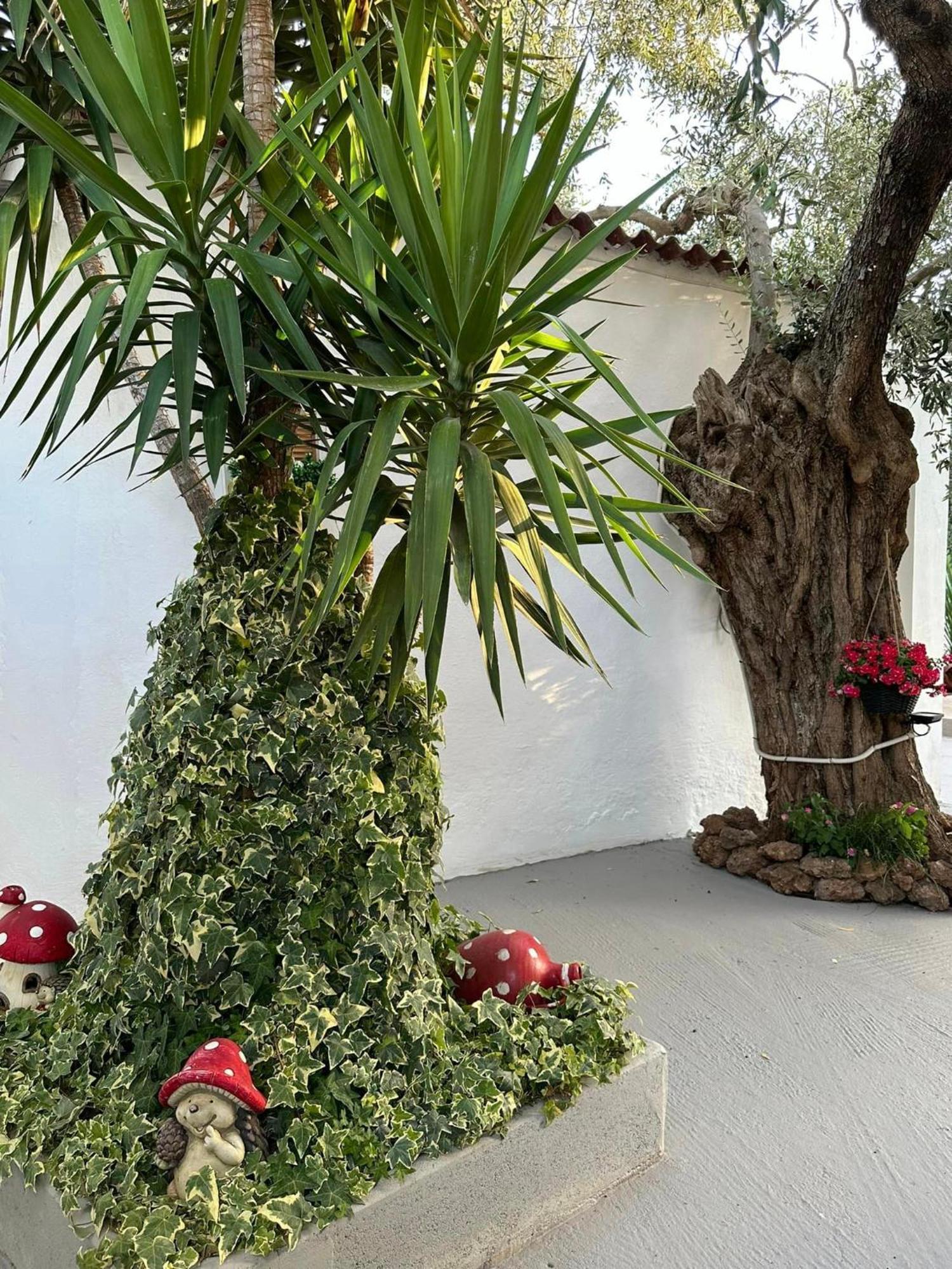 Valia House Thassos Lägenhet Skála Kallirákhis Exteriör bild