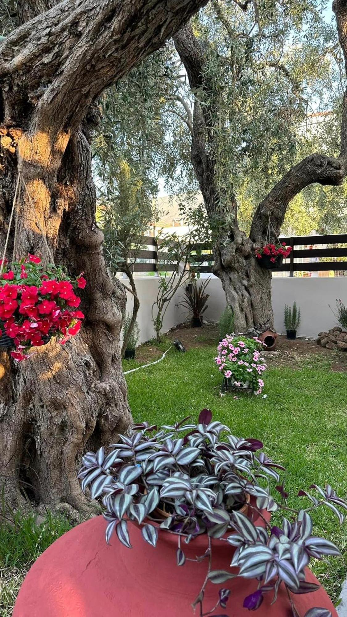 Valia House Thassos Lägenhet Skála Kallirákhis Exteriör bild